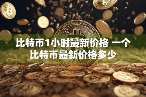 比特币1小时最新价格 一个比特币最新价格多少