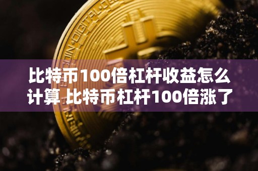 比特币100倍杠杆收益怎么计算 比特币杠杆100倍涨了1个点是多少?怎么计算