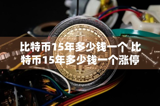 比特币15年多少钱一个 比特币15年多少钱一个涨停