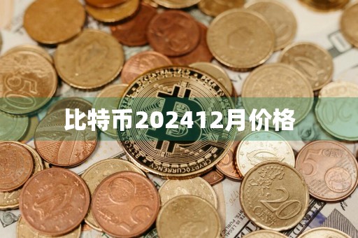 比特币202412月价格