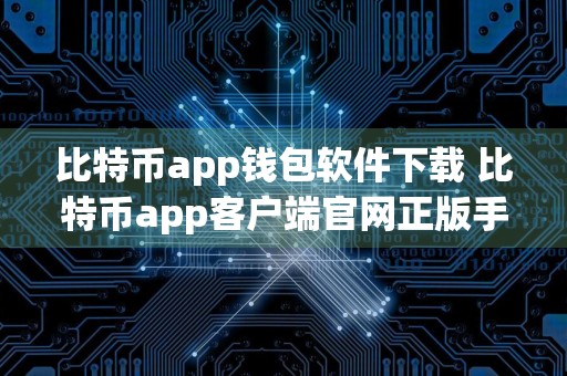 比特币app钱包软件下载 比特币app客户端官网正版手机网址