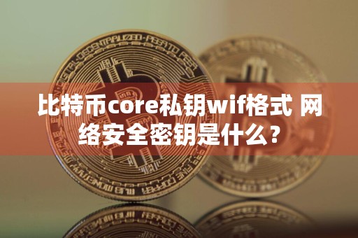 比特币core私钥wif格式 网络安全密钥是什么？