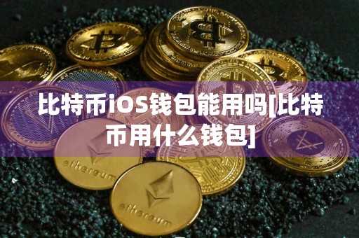 比特币iOS钱包能用吗[比特币用什么钱包]