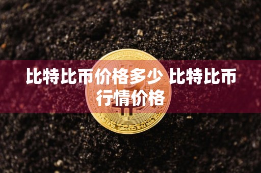 比特比币价格多少 比特比币行情价格