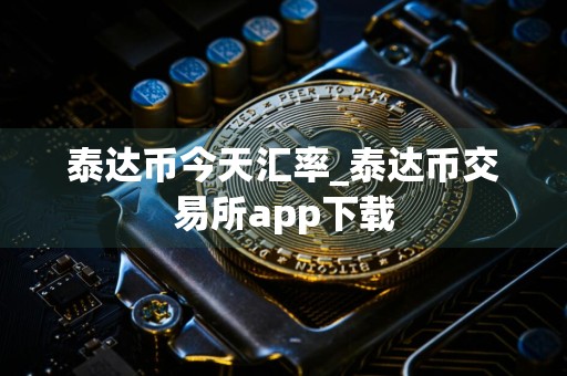 泰达币今天汇率_泰达币交易所app下载