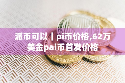 派币可以｜pi币价格,62万美金pai币首发价格