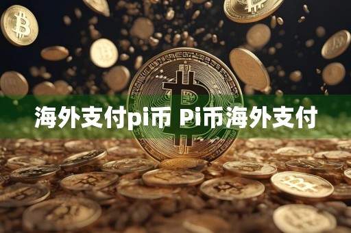 海外支付pi币 Pi币海外支付