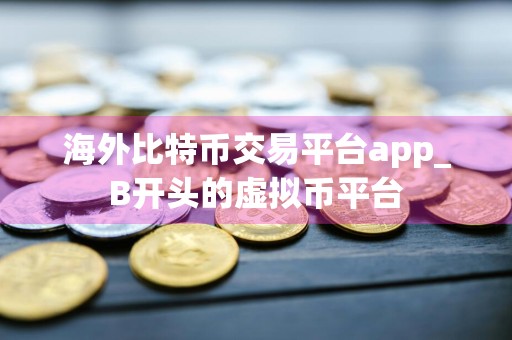 海外比特币交易平台app_B开头的虚拟币平台