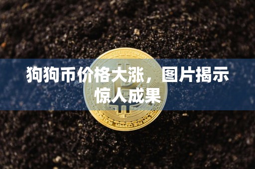 狗狗币价格大涨，图片揭示惊人成果