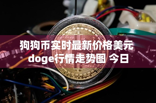 狗狗币实时最新价格美元 doge行情走势图 今日