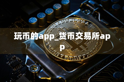 玩币的app_货币交易所app