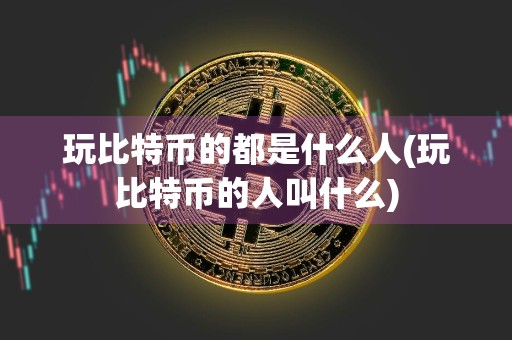 玩比特币的都是什么人(玩比特币的人叫什么)