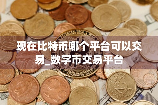 现在比特币哪个平台可以交易_数字币交易平台