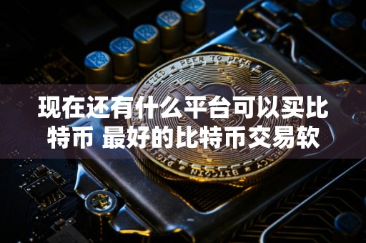 现在还有什么平台可以买比特币 最好的比特币交易软件