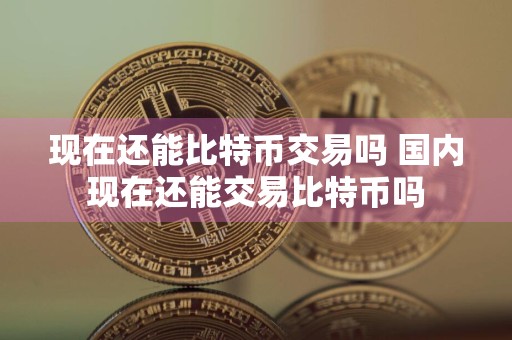 现在还能比特币交易吗 国内现在还能交易比特币吗