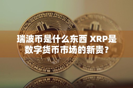 瑞波币是什么东西 XRP是数字货币市场的新贵？