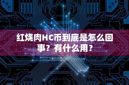 红烧肉HC币到底是怎么回事？有什么用？