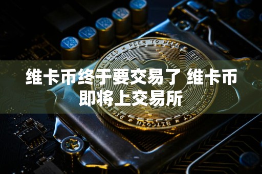 维卡币终于要交易了 维卡币即将上交易所