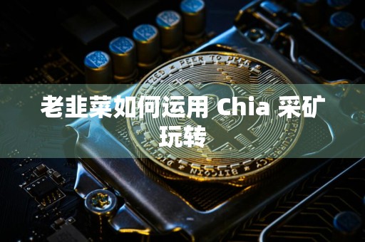 老韭菜如何运用 Chia 采矿玩转