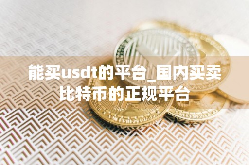 能买usdt的平台_国内买卖比特币的正规平台