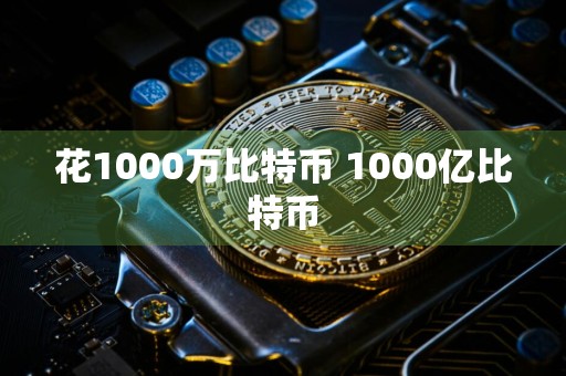 花1000万比特币 1000亿比特币