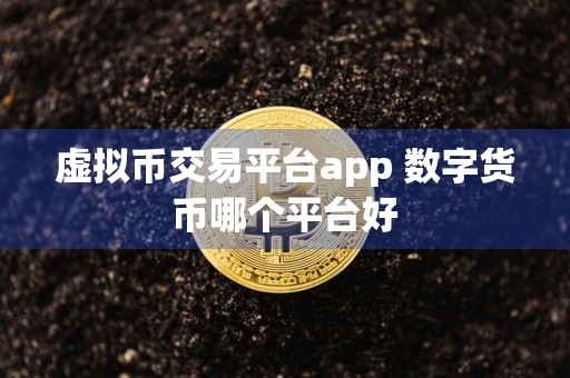 虚拟币交易平台app 数字货币哪个平台好