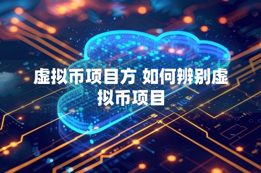 虚拟币项目方 如何辨别虚拟币项目