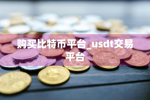 购买比特币平台_usdt交易平台