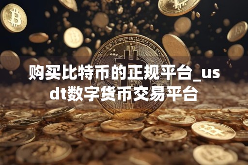 购买比特币的正规平台_usdt数字货币交易平台