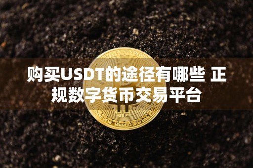 购买USDT的途径有哪些 正规数字货币交易平台