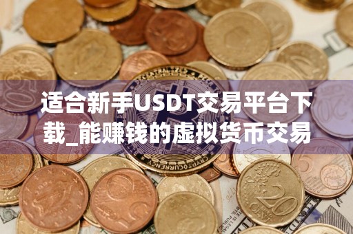 适合新手USDT交易平台下载_能赚钱的虚拟货币交易软件盘点