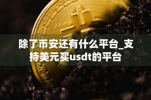 除了币安还有什么平台_支持美元买usdt的平台