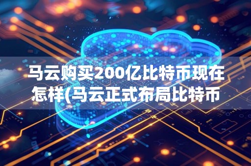 马云购买200亿比特币现在怎样(马云正式布局比特币)