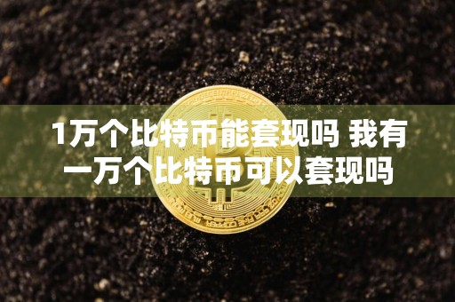 1万个比特币能套现吗 我有一万个比特币可以套现吗