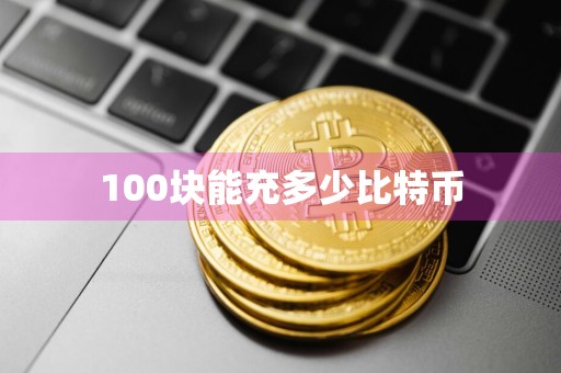 100块能充多少比特币