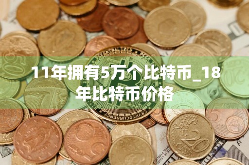 11年拥有5万个比特币_18年比特币价格