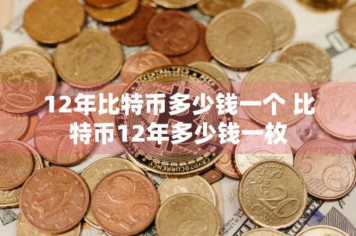 12年比特币多少钱一个 比特币12年多少钱一枚