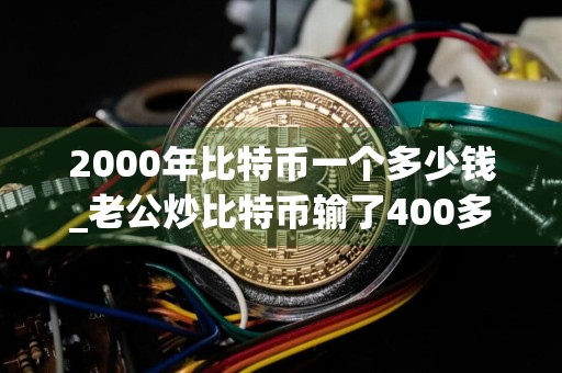 2000年比特币一个多少钱_老公炒比特币输了400多万