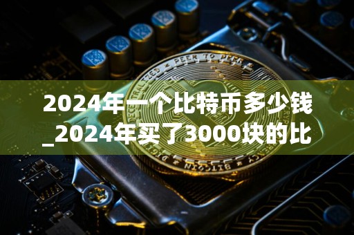 2024年一个比特币多少钱_2024年买了3000块的比特币