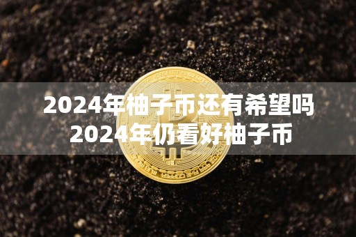 2024年柚子币还有希望吗 2024年仍看好柚子币