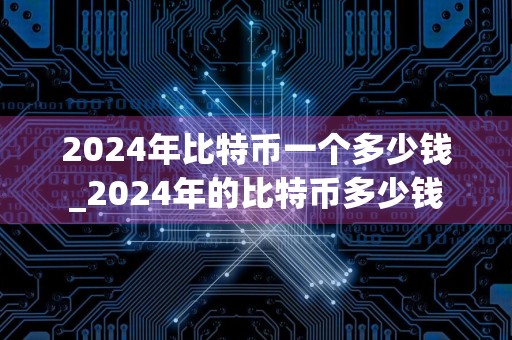 2024年比特币一个多少钱_2024年的比特币多少钱