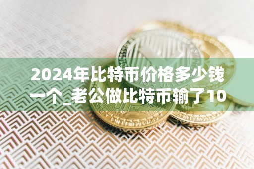 2024年比特币价格多少钱一个_老公做比特币输了100万