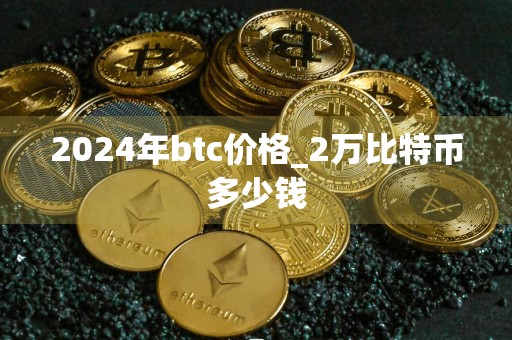 2024年btc价格_2万比特币多少钱