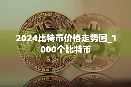 2024比特币价格走势图_1000个比特币