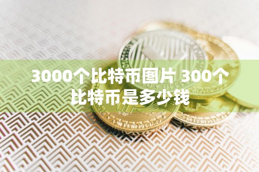 3000个比特币图片 300个比特币是多少钱