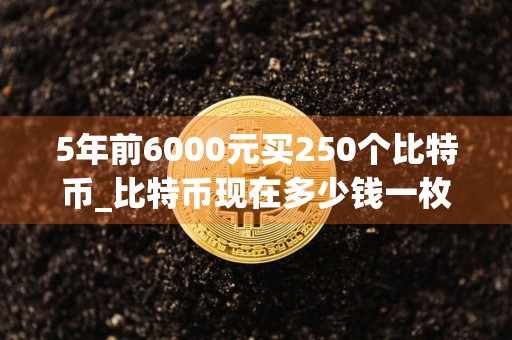 5年前6000元买250个比特币_比特币现在多少钱一枚