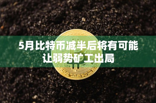 5月比特币减半后将有可能让弱势矿工出局