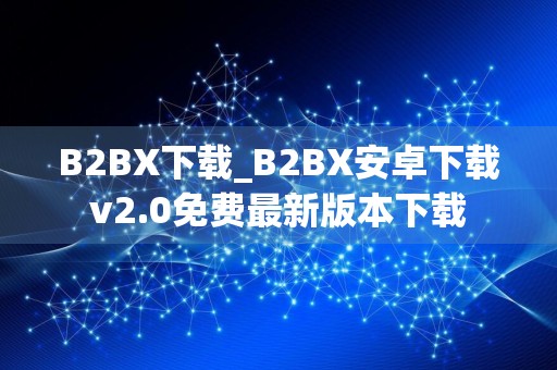 B2BX下载_B2BX安卓下载v2.0免费最新版本下载