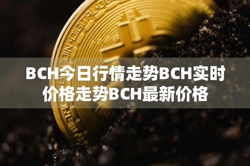 BCH今日行情走势BCH实时价格走势BCH最新价格