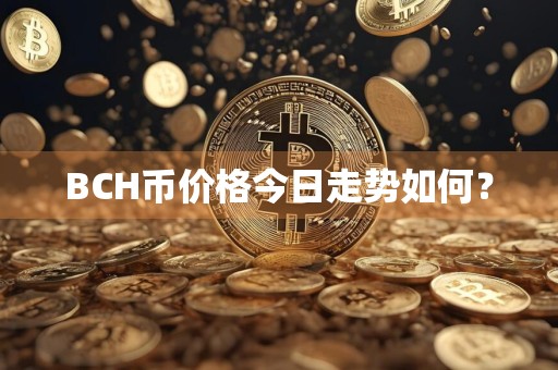 BCH币价格今日走势如何？